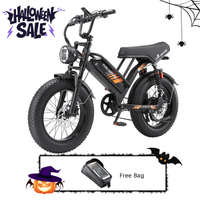 PURE UNICORN U5 48V 19.2Ah 1000W Fat Tire Moped Electric Bike