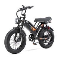 PURE UNICORN U5 48V 19.2Ah 1000W Fat Tire Moped Electric Bike